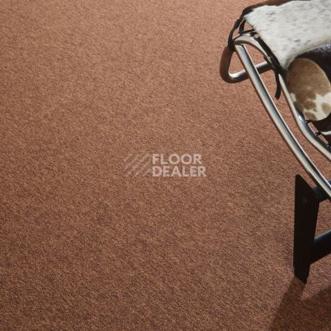 Bloq Tradition Tradition 930 фото 2 | FLOORDEALER
